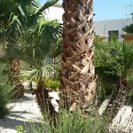 Tatil Evi Sara Relax